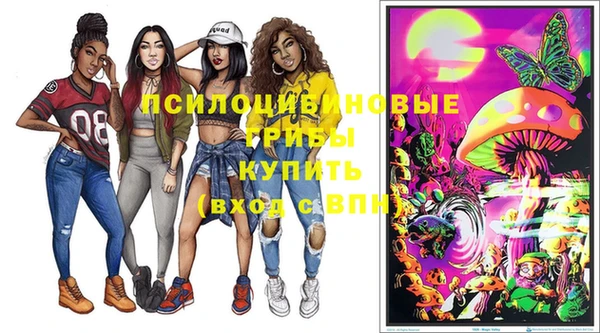МДМА Богданович