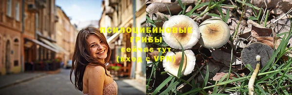 МДМА Богданович